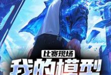 小说《比赛现场,我的模型吓呆鹰酱》章节免费阅读-艾米文学