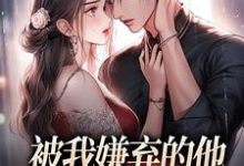 被我嫌弃的他,竟成了我的港湾完整版小说,被我嫌弃的他,竟成了我的港湾最新章节-艾米文学