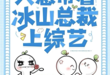 完结版《重生之后只想带着冰山总裁上综艺》章节阅读-艾米文学