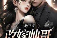 小说《一胎三宝,改嫁帅哥就是宠!》完整版在线章节免费阅读-艾米文学