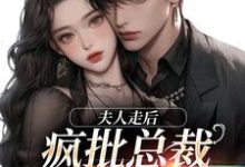 小说《夫人走后,疯批总裁寻遍全世界》完整版在线章节免费阅读-艾米文学