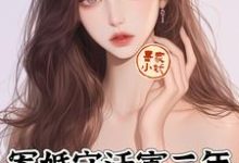 完结版《军婚守活寡三年,小军嫂带崽离婚》在线免费阅读-艾米文学