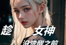 王昊小说趁女神没觉醒之前,我捷足先登在线阅读章节-艾米文学