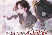 军婚五年不回家,带崽离婚又不肯小说阅读,军婚五年不回家,带崽离婚又不肯完结版-艾米文学