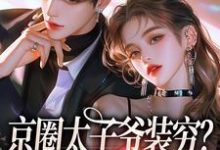完整版小说《京圈太子爷装穷？我离婚了》免费阅读-艾米文学