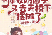 战爷你家奶团子又去天桥下摆摊了完整版小说,战爷你家奶团子又去天桥下摆摊了小糖糖-艾米文学