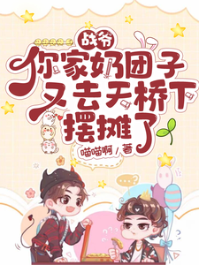 战爷你家奶团子又去天桥下摆摊了完整版小说，战爷你家奶团子又去天桥下摆摊了小糖糖