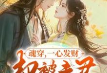 在线寻找魂穿，一心发财，却被夫君宠成宝小说的无删减版本-艾米文学