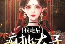 我走后，疯批太子彻底癫了免费阅读，我走后，疯批太子彻底癫了章节在线阅读-艾米文学