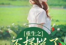 完结版《重生之不摆烂了,我要当权臣》章节阅读-艾米文学
