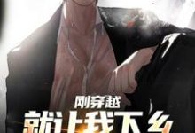 小说《刚穿越就让我下乡，这该如何是好》章节免费阅读-艾米文学