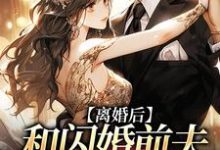 离婚后，和闪婚前夫再相遇裴书君小说在线章节目录阅读最新章节-艾米文学