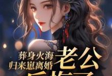 哪里能找到葬身火海归来崽离婚，老公后悔了小说的最新更新和免费章节？-艾米文学