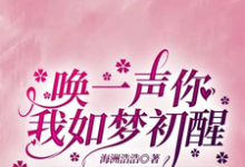 已完结小说《唤一声你我如梦初醒》最新章节-艾米文学