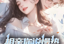 求推荐可以免费阅读相亲你说慢热，我放弃你哭啥？小说的网站-艾米文学