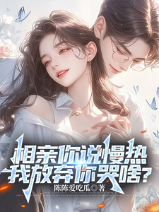 丁歌小说完结版在线阅读，相亲你说慢热，我放弃你哭啥？免费看