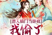 潜入仙门当卧底,我偷了谪仙的心(宋时卿谢寂玉)完整版在线免费阅读-艾米文学