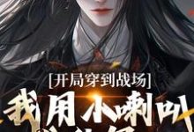 完整版《开局穿到战场,我用小喇叭扰乱军心》小说免费阅读-艾米文学