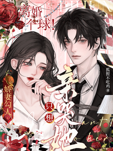郁琛宋书疑完整版《娇妻勾人：离婚个球！只想亲哭她》小说免费阅读