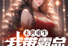 末世重生,我带霸总回农村这本小说怎么样?免费在线阅读试试-艾米文学
