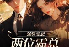 已完结小说《纵意沉沦》在线章节阅读-艾米文学