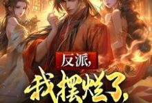 完整版的反派,我摆烂了,你们怎么急了小说在哪里可以免费读到?-艾米文学