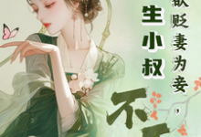 完结版《夫君欲贬妻为妾，重生小叔不干了》免费阅读-艾米文学