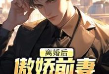 《离婚后，傲娇前妻被疯狂打脸》完整版小说免费阅读-艾米文学