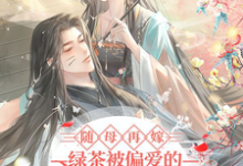 随母再嫁!绿茶被偏爱的有恃无恐小说的无弹窗阅读体验,寻找免费阅读网站-艾米文学