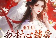 《重生后，我封心锁爱，皇帝请离开》小说大结局免费试读 苏婉宁萧煜小说-艾米文学