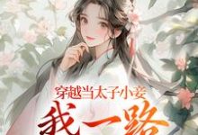 完结版《穿越当太子小妾,我一路扶摇直上》免费阅读-艾米文学
