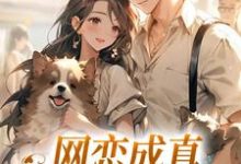 完结版《网恋成真，这小子乐癫了》在线免费阅读-艾米文学