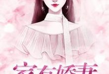苏岩小说在线章节免费阅读(家有娇妻无弹窗无删减)-艾米文学