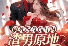 已完结小说《假死脱身倒计时，渣男原地哭成狗》最新章节-艾米文学
