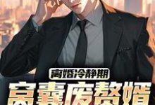 《离婚冷静期,窝囊废赘婿黑化了》小说章节列表免费试读,宋亦小说在线阅读-艾米文学