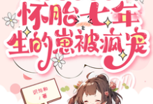 《皇帝绝嗣?怀胎七年生的崽被疯宠》完整版小说免费阅读-艾米文学