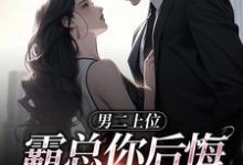 男二上位，霸总你后悔也没用完整版小说免费阅读，男二上位，霸总你后悔也没用小说-艾米文学