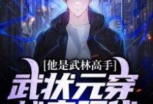 已完结小说《他是武林高手：武状元穿越来现代》章节免费阅读-艾米文学