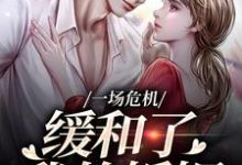 南迦北铮小说叫什么(一场危机,缓和了我的婚姻完整版免费阅读)-艾米文学