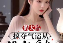 假太监:掠夺气运从祸乱皇朝开始章节免费在线阅读,陆景完结版-艾米文学