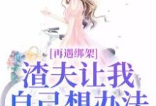 苏夏顾帆小说完整版《再遇绑架，渣夫让我自己想办法》免费阅读-艾米文学