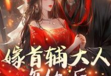 嫁首辅大人复仇后，她被反攻略了小说最新更新在哪里？免费在线看-艾米文学