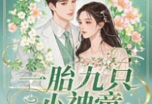 求推荐可以免费阅读一胎九只小神童，萧爷的独家宠爱小说的网站-艾米文学