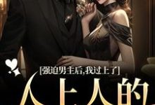 赵汀兰沈颂川小说强迫男主后，我过上了人上人的生活在线阅读章节-艾米文学