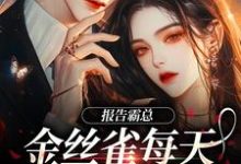报告霸总，金丝雀每天都在装乖巧傅婳裴闻渡，报告霸总，金丝雀每天都在装乖巧章节在线阅读-艾米文学