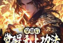 完结版《穿越后，觉醒无上功法的我要复仇了》章节目录在线阅读-艾米文学