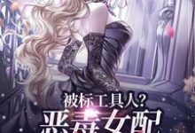 已完结小说《被标工具人？恶毒女配甩男主求自由》章节免费阅读-艾米文学