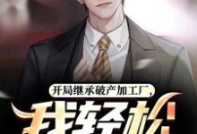 江晨完整版小说《开局继承破产加工厂,我轻松盘活!》免费阅读-艾米文学