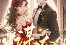 小说《谋夺》在线章节阅读-艾米文学