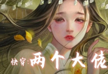 小说《快穿两个大佬别关了不逃了》完整版在线章节免费阅读-艾米文学